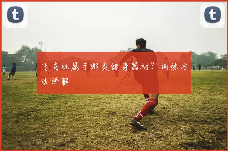 飞鸟机属于哪类健身器材？训练方法讲解