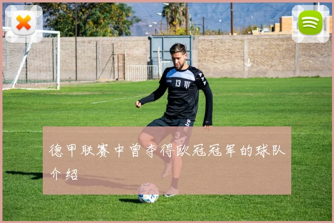 德甲联赛中曾夺得欧冠冠军的球队介绍